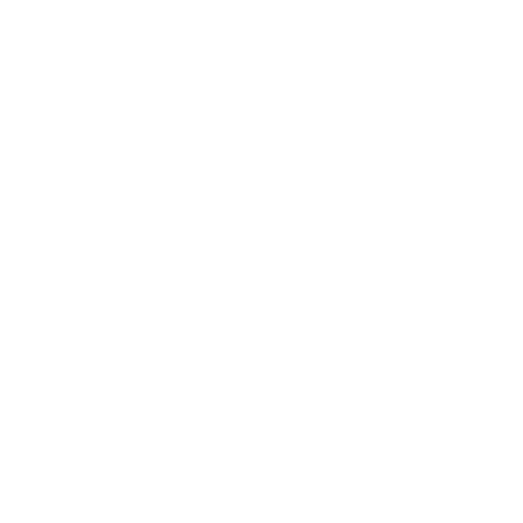 Erica Luz — Conexão Humana